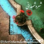 شعر و شمعدانی - کانال تلگرام