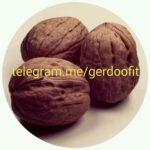 Gerdoo - کانال تلگرام