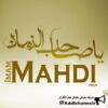 True Imam Mahdi