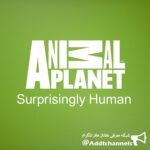 AnimalPlanet - کانال تلگرام