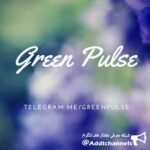 کانال تلگرام نبض سبز