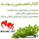 غذای اسلامی - کانال تلگرام