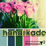 honarkade - کانال تلگرام
