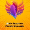 کانال تلگرام طوطی زیبای من
