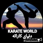 خبری تحلیلی رویداد های کاراته - کانال تلگرام