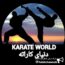 کانال تلگرام خبری تحلیلی رویداد های کاراته