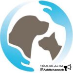 کانال تلگرام كلينيك حيوانات خانگي ويانا