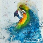 آب و رنگهای من - کانال تلگرام